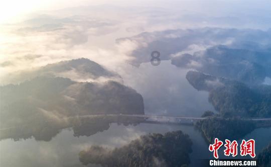 芦丁鸡和鹌鹑哪个能飞得远- 你的有问必答平台